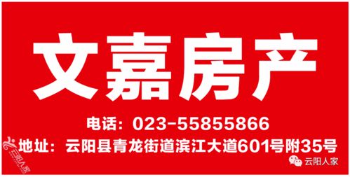 城心美居，生活與財富的雙向選擇